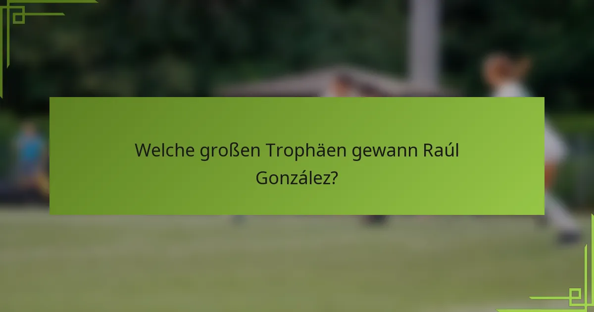Welche großen Trophäen gewann Raúl González?