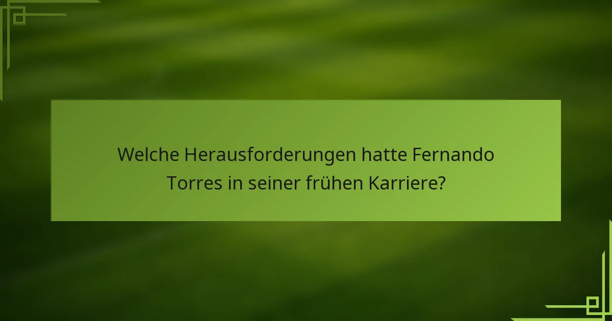 Welche Herausforderungen hatte Fernando Torres in seiner frühen Karriere?