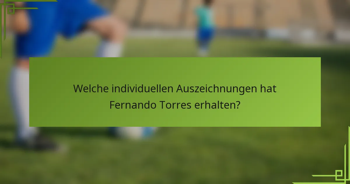 Welche individuellen Auszeichnungen hat Fernando Torres erhalten?
