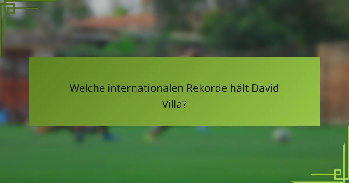 Welche internationalen Rekorde hält David Villa?