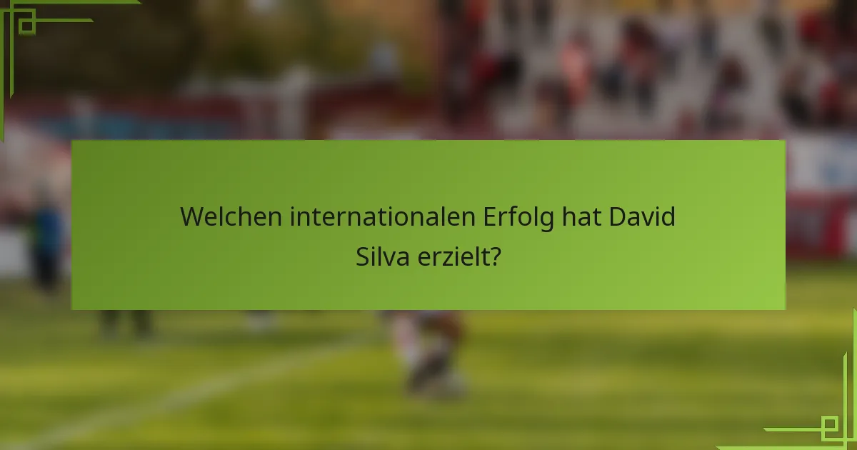 Welchen internationalen Erfolg hat David Silva erzielt?