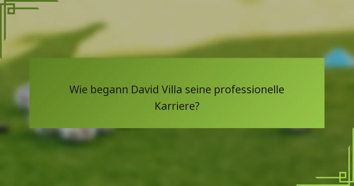 Wie begann David Villa seine professionelle Karriere?