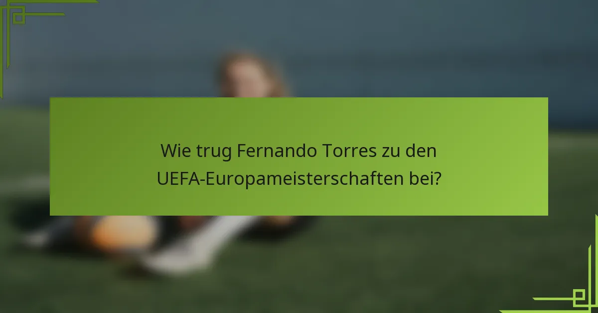 Wie trug Fernando Torres zu den UEFA-Europameisterschaften bei?
