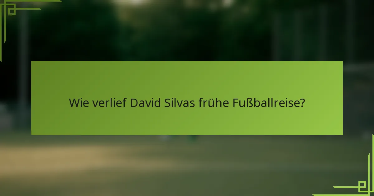 Wie verlief David Silvas frühe Fußballreise?